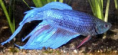 /album/fotogaleria/jtt-png/