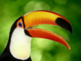 /album/fotogaleria/untitleddfdsds-png/